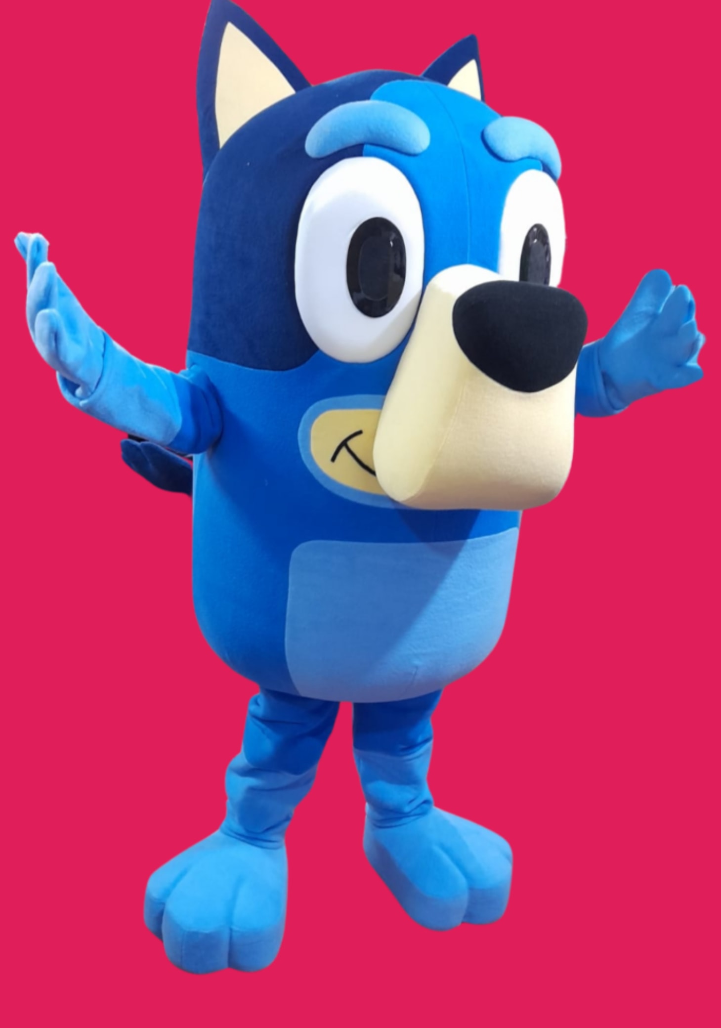 Bluey character mascot costume